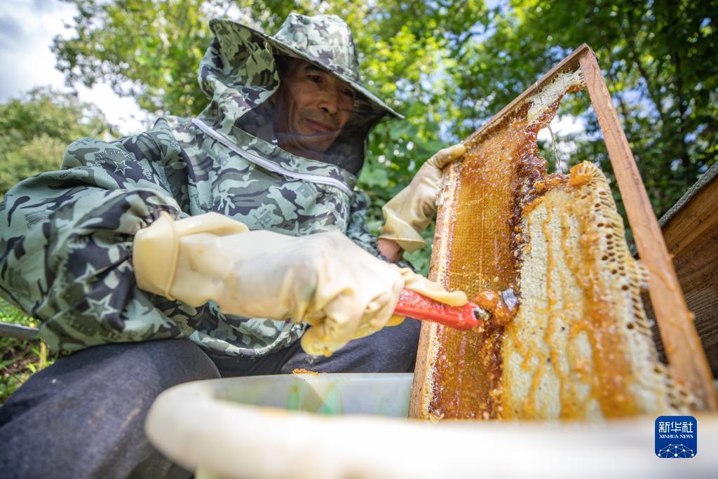 广东推倒胡麻将下载